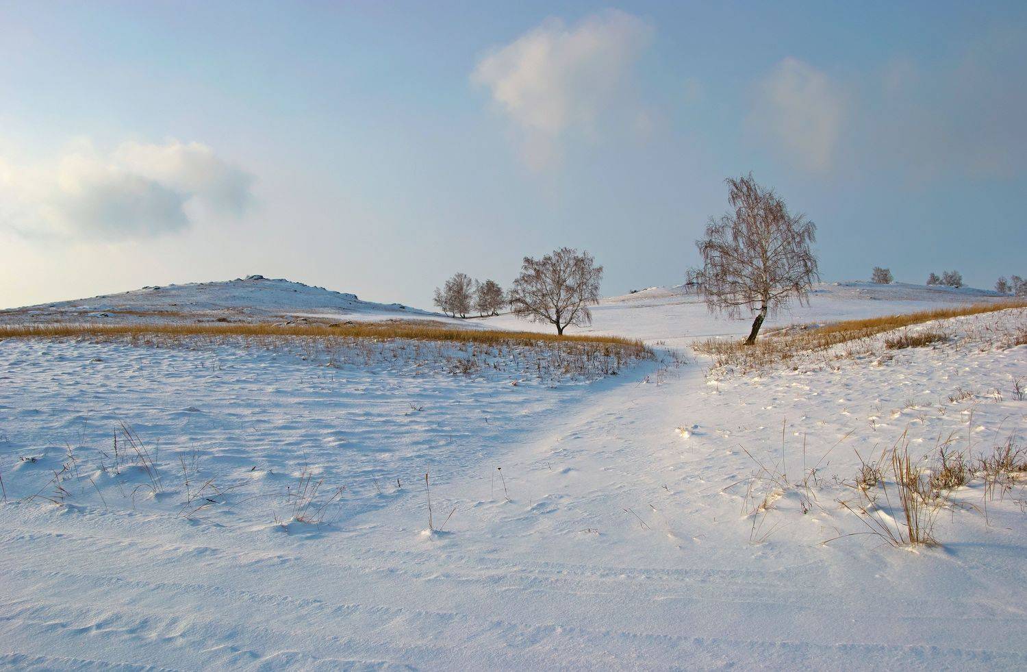 , Шустиков Дмитрий