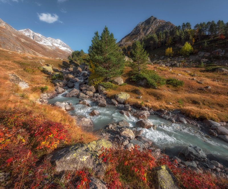 *** фото превью