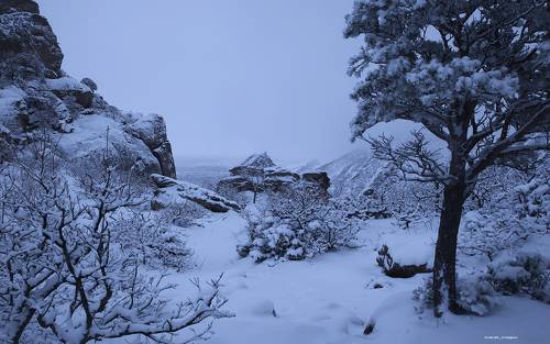 Зимний пейзаж..