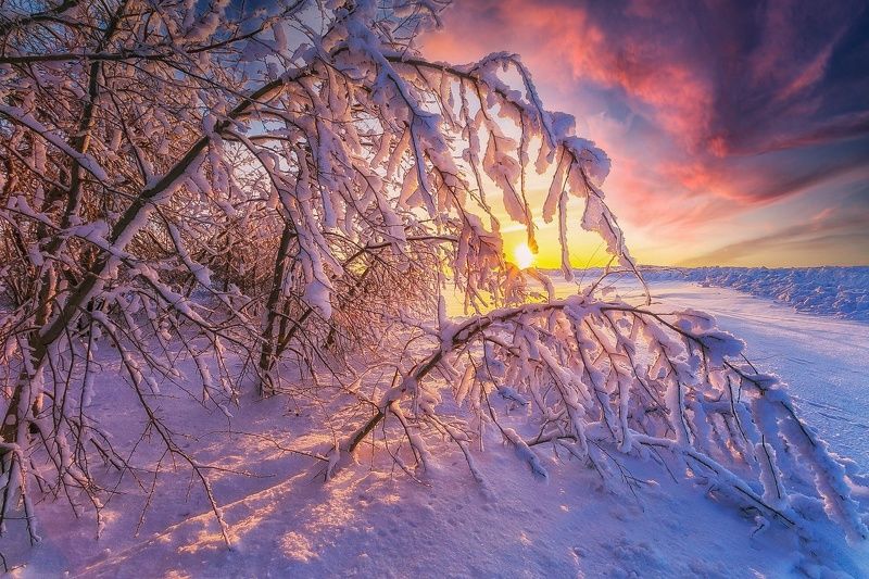 После бури фото превью