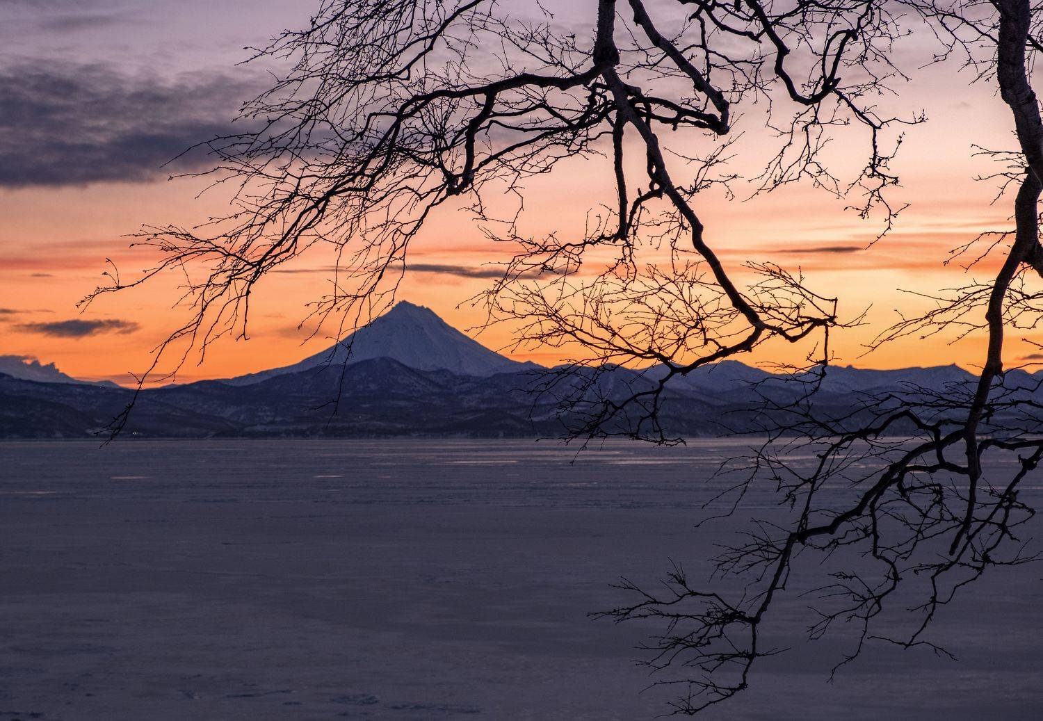 , Наталья Королева