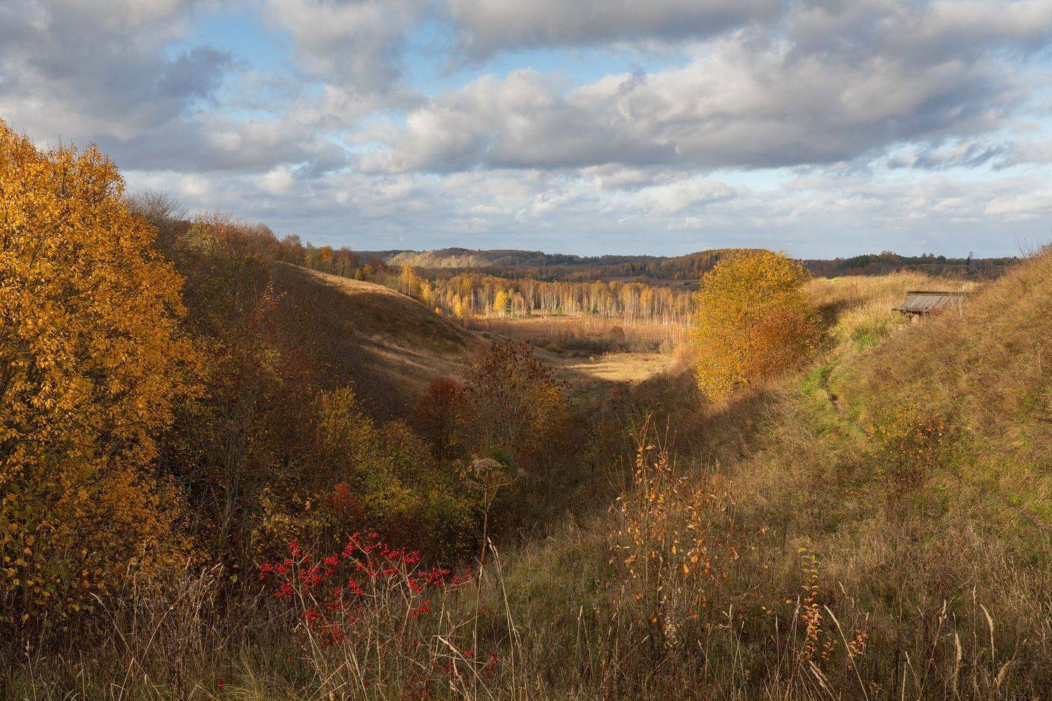 мальская долина, труворово городище., Юрий Чернов