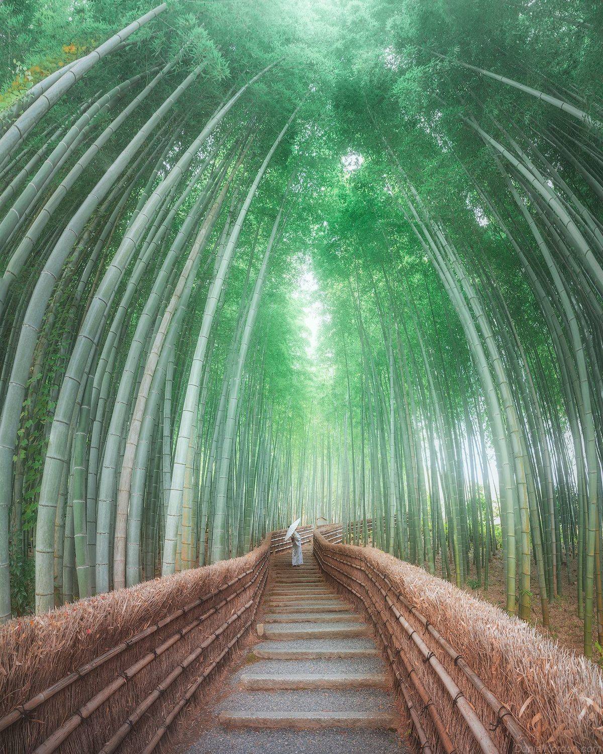 , Даниил Коржонов