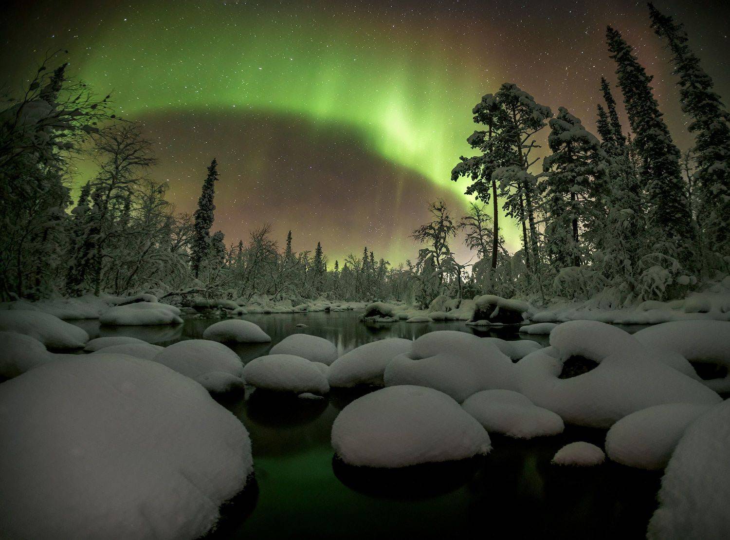 , Любовь Трифонова