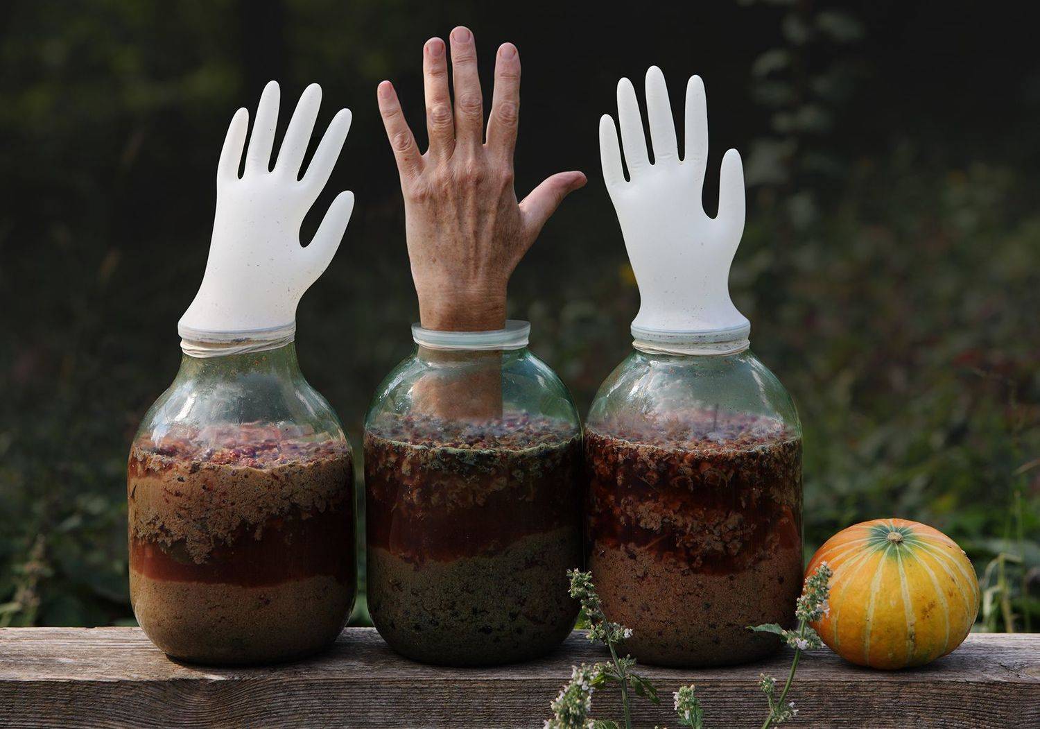 , Владимир Краснов