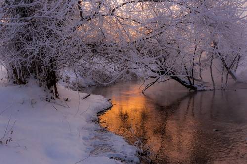 Таким вот утром...