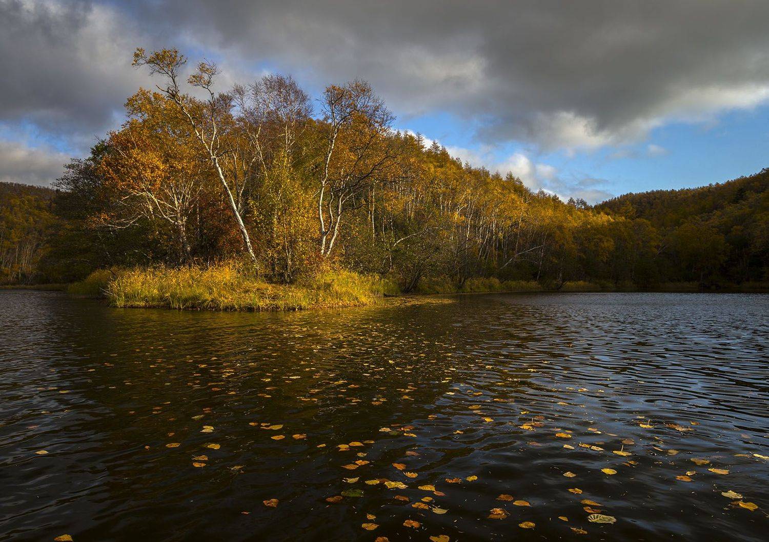 , Анатолий Макоедов