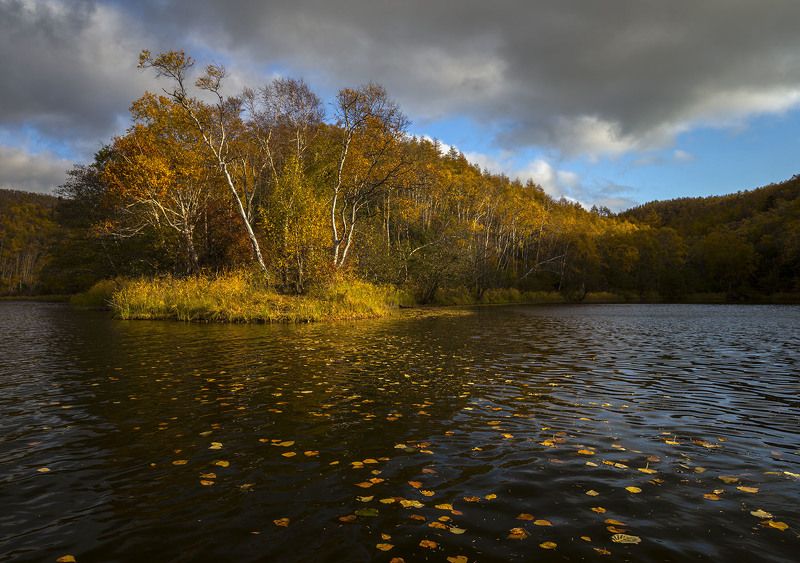 Листья опавшие, листья плывущие фото превью
