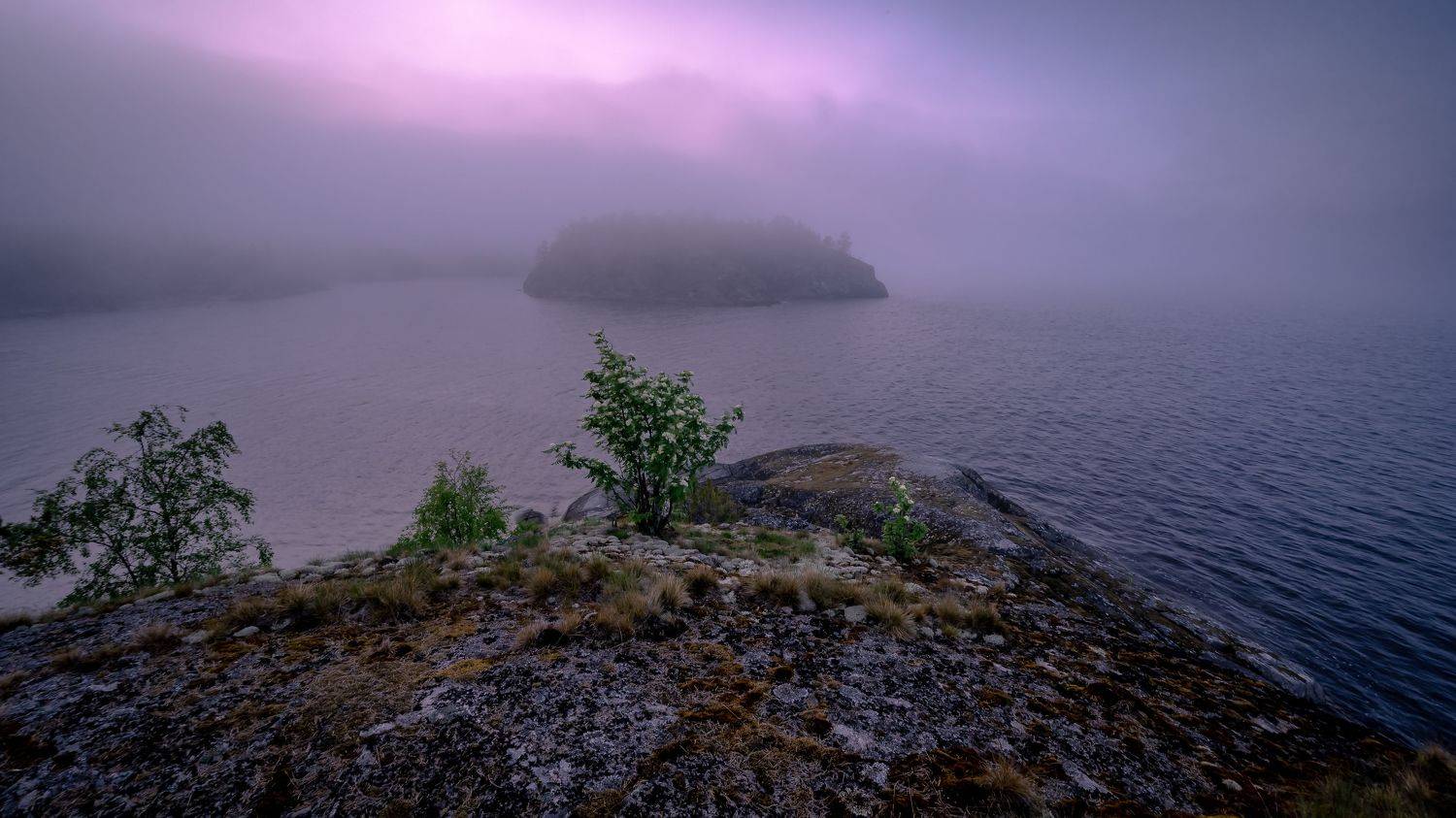 , Васильев Андрей