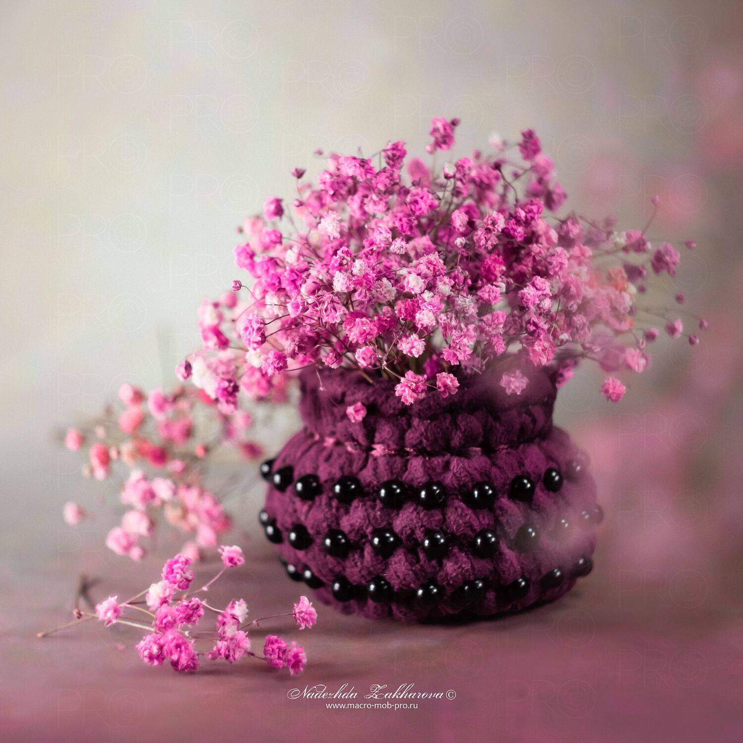 , Надежда Захарова