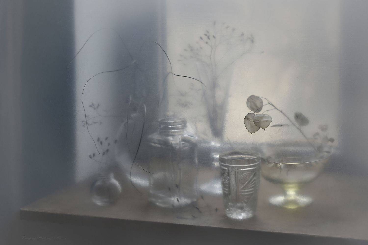 , Шипунова Ирина