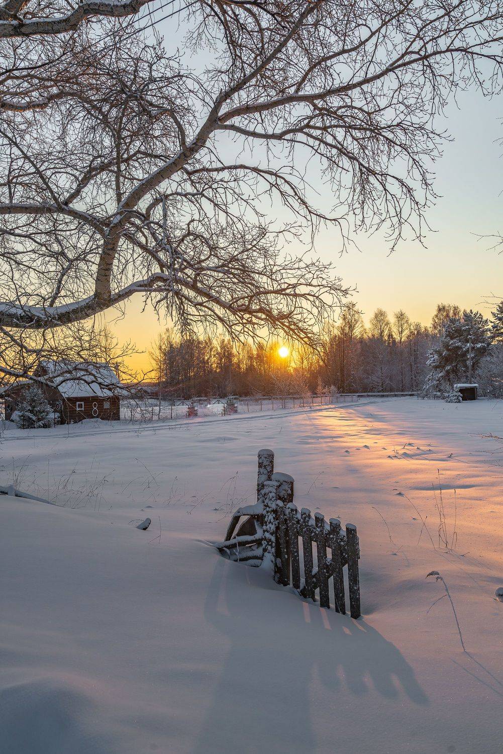 , Шуплецов Алексей