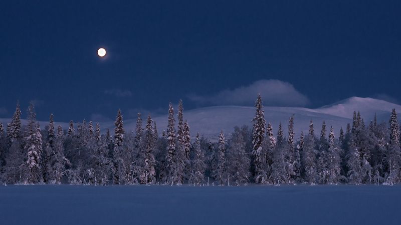 север, кольский, хибины, заполярье, Перед рассветом фото превью