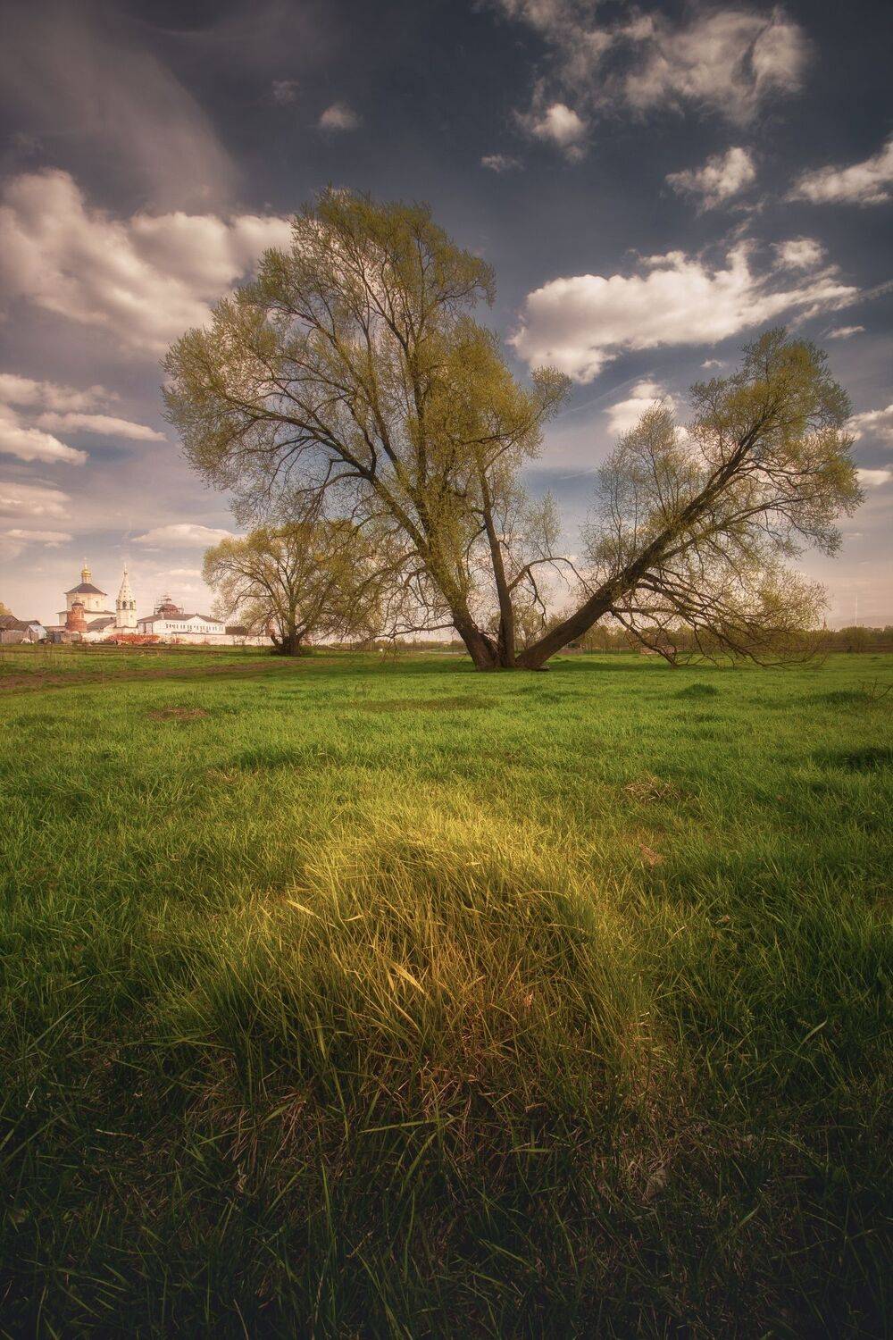 , Котов Андрей