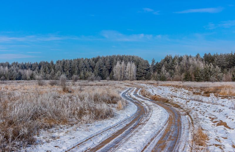 лес, зима, мороз, иней, дорога, природа  фото превью