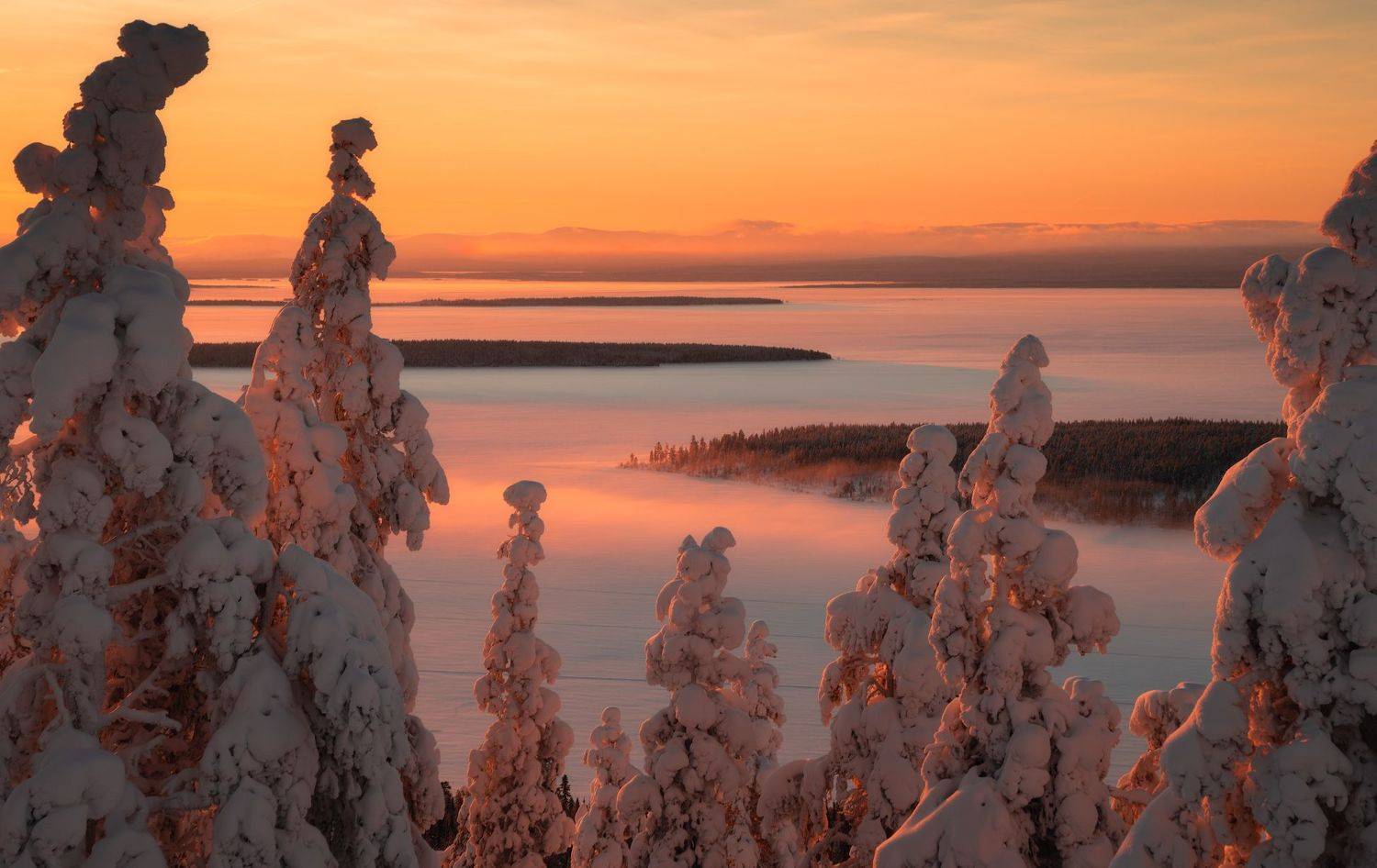 , Виталий Истомин