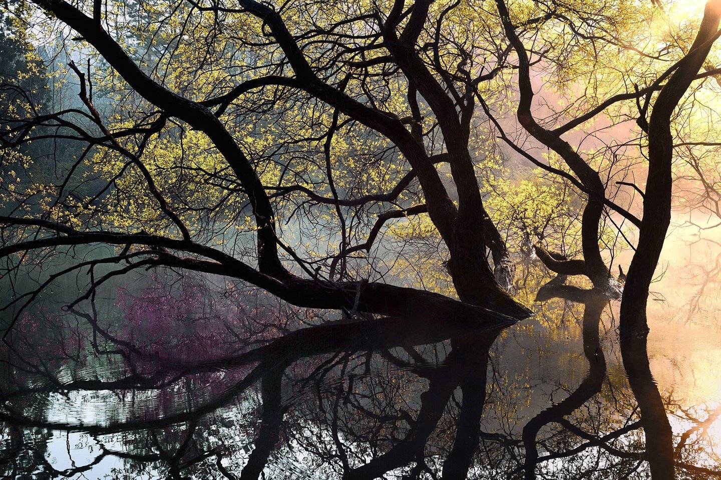 Pond of illusion, KIM SUK EUN