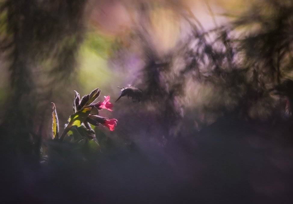 , Вячеслав Мищенко