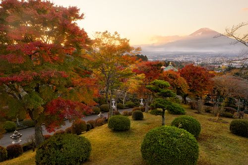 Colorful world