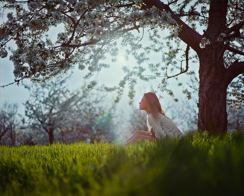 Viki фото превью