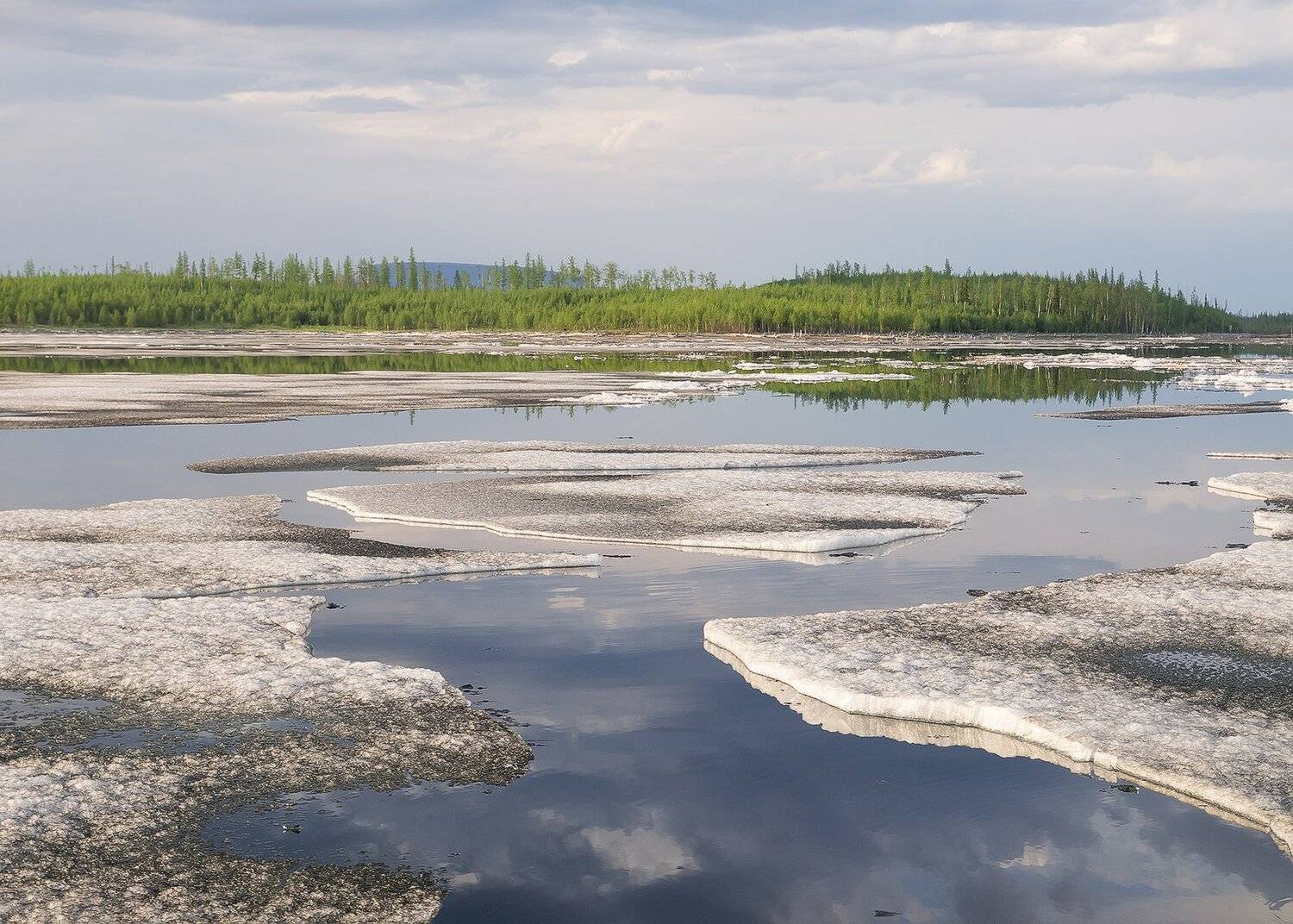 , Лещёнок Александр