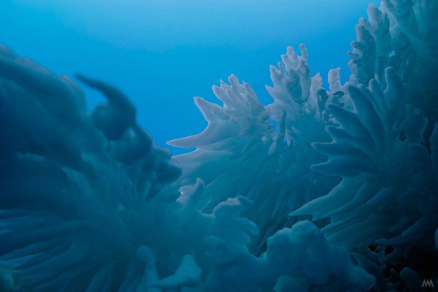 россия, байкал, ольхон, лед, озеро, красота, сибирь, природа, пейзаж, Михаил Минков