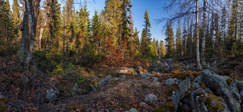Весна, Камни, Лес, Таганай, Южный урал В гости к лешим да кикиморам фото превью