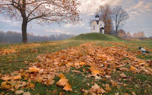 Осеннее утро