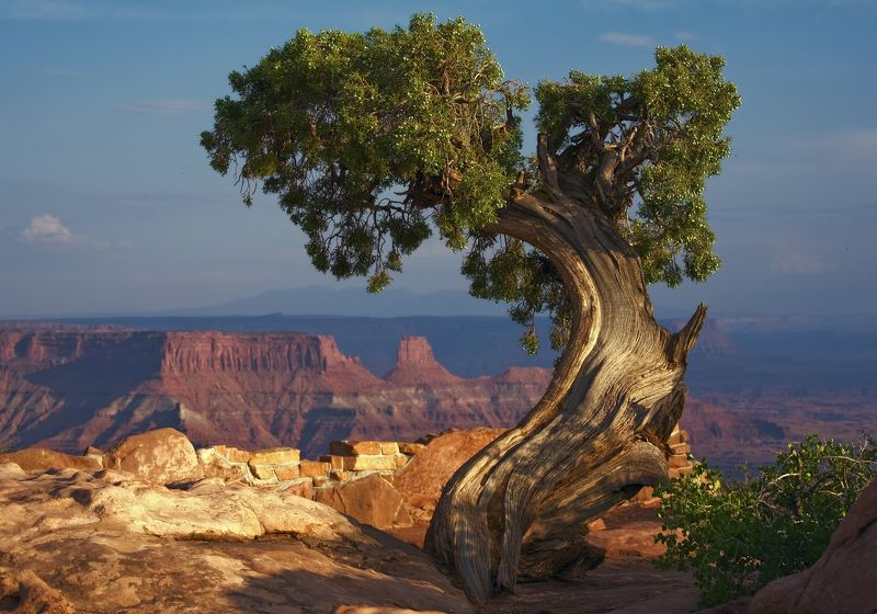 Одинокое на Dead Horse фото превью