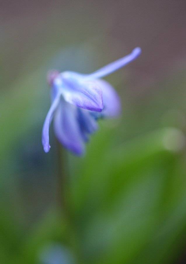 , Сергей Таланов