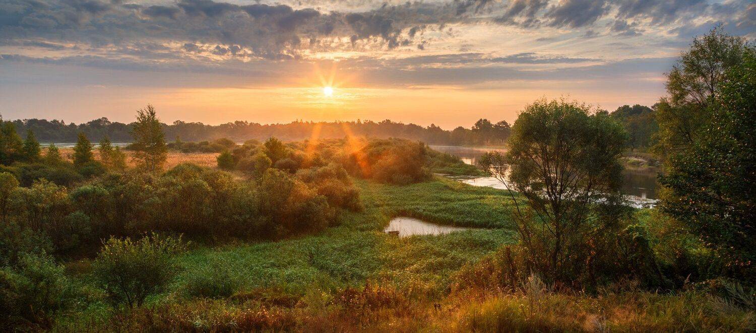 , Михаил Кушнер