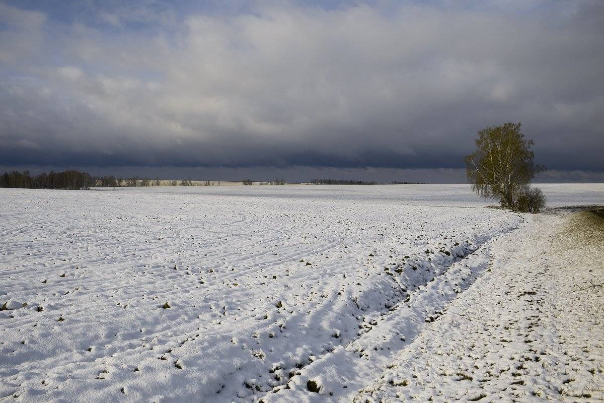 , Николай Морский