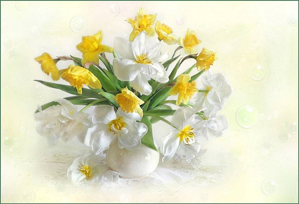 , Алла Шевченко