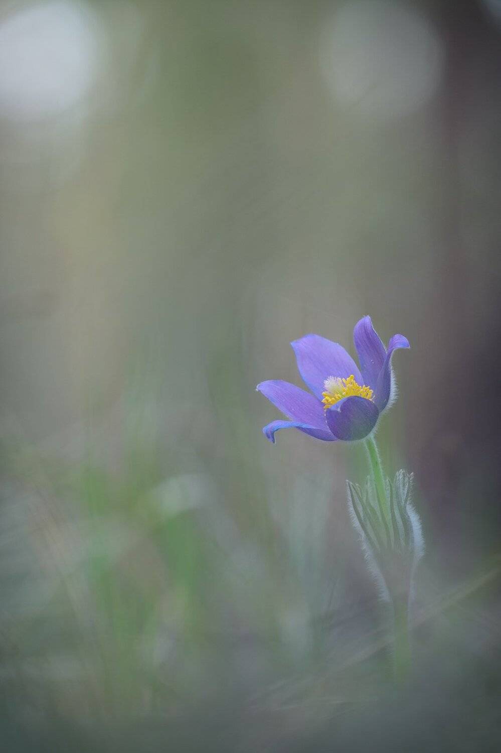 , Кузнецов Дмитрий