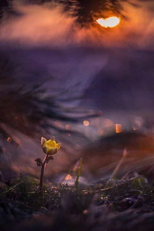 , Екатерина Науменко