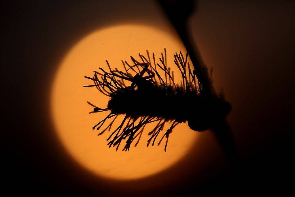 , Сергей Таланов