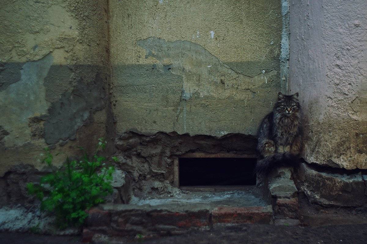 , Сидоренко Алексей