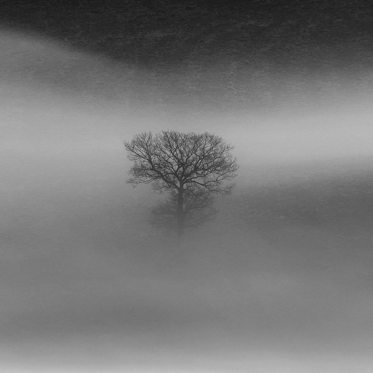 , Лядимов Дмитрий