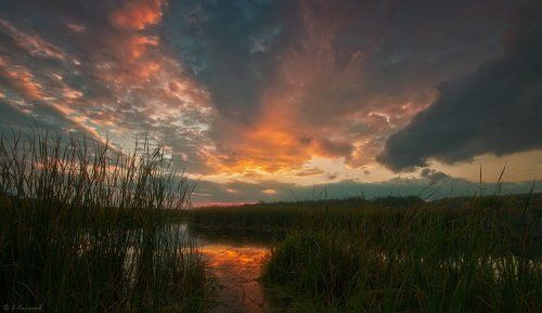 Пожаром закат златокудрый пылает...