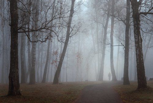 Сквозь туман...