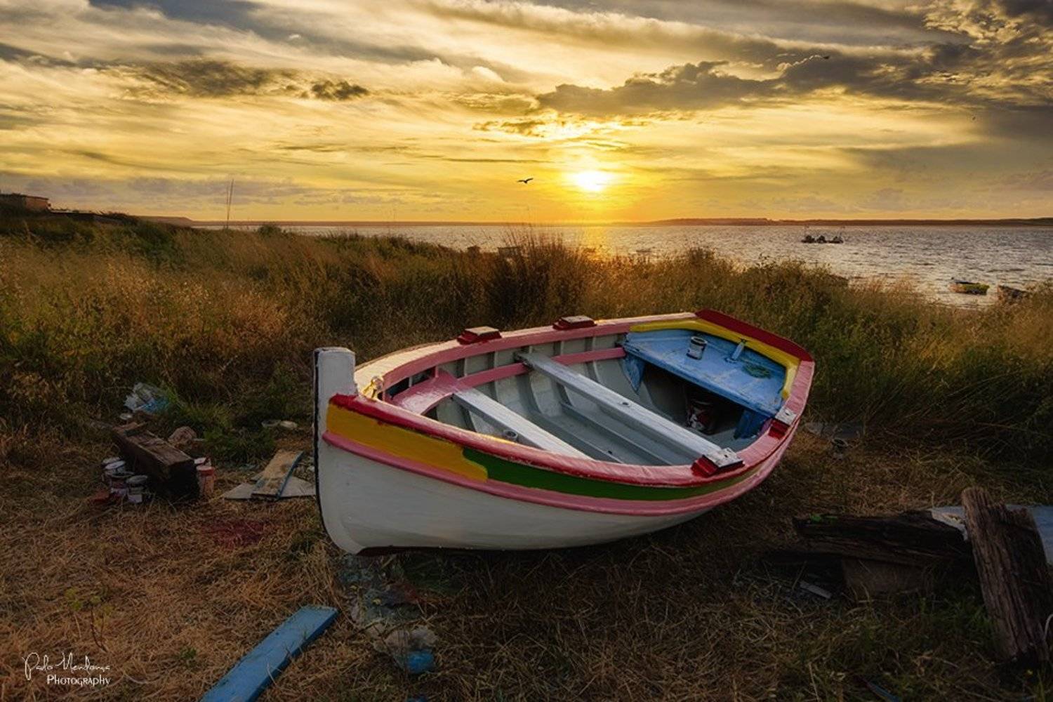 , Paulo Mendon&ccedil;a