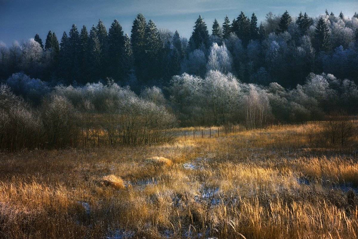 , Алексей Никонов