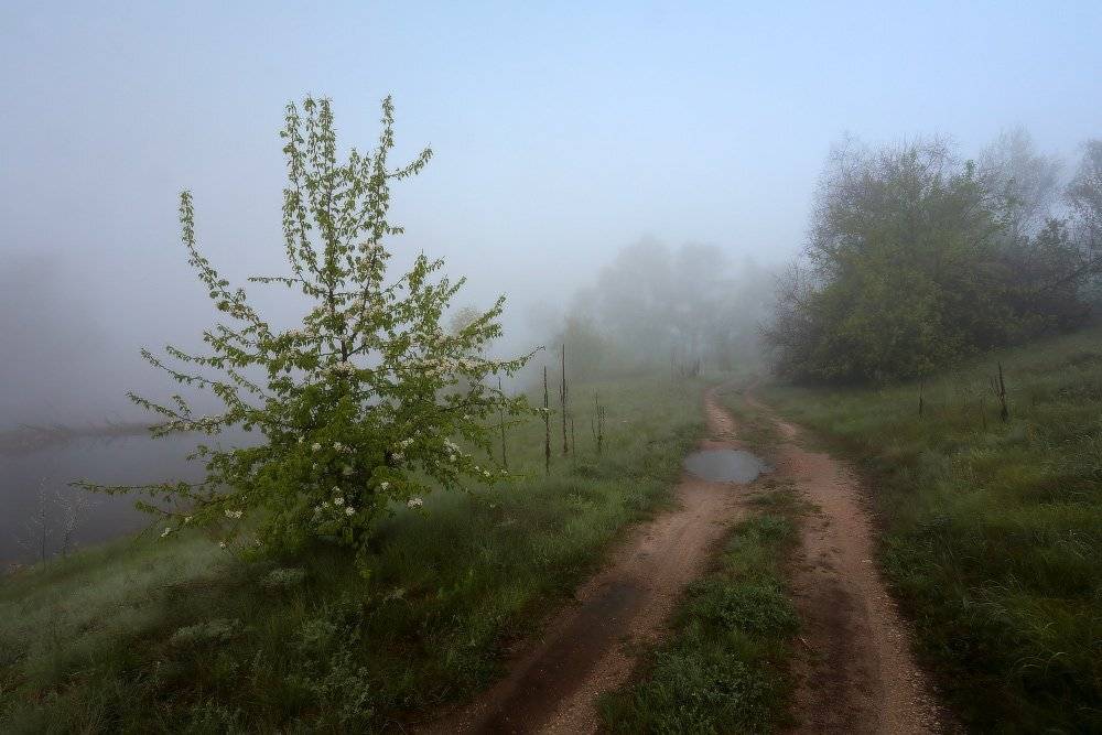 , Петриченко Валерий