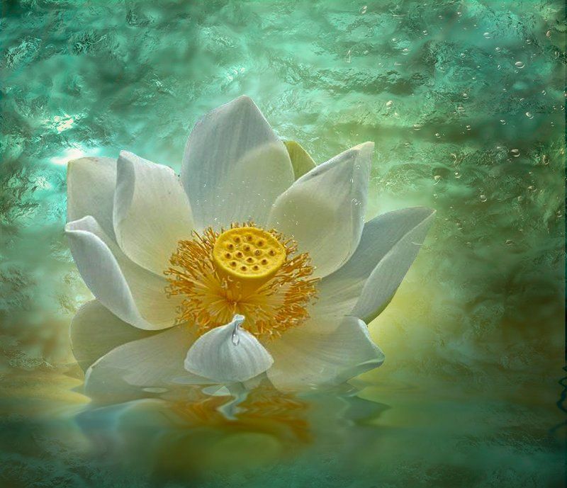 Erotic фото превью
