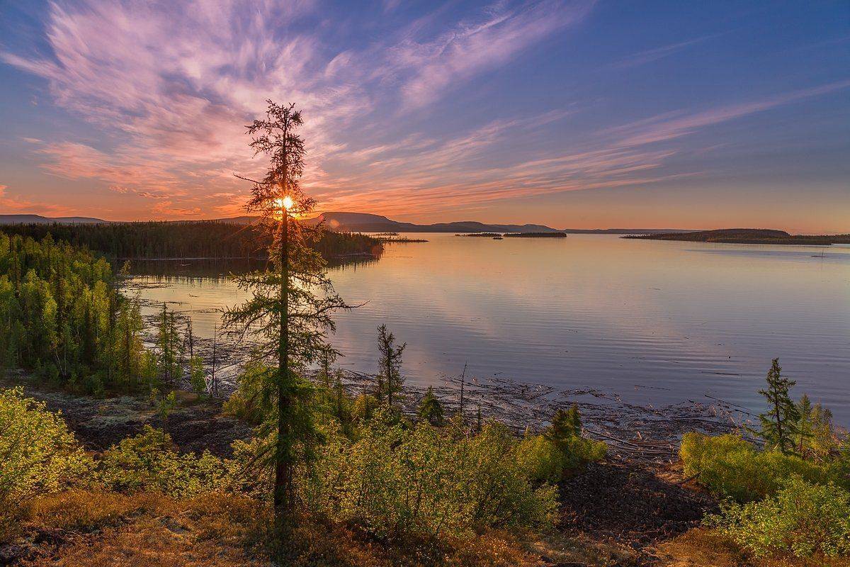 путорана, курейка, эвенкия, красноярский край, лиственница, рассвет, Кирилл Уютнов