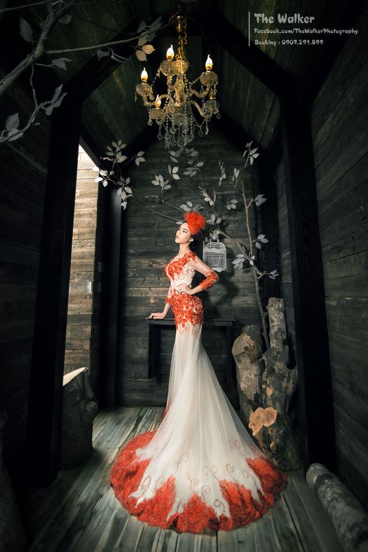 Lady in Red фото превью