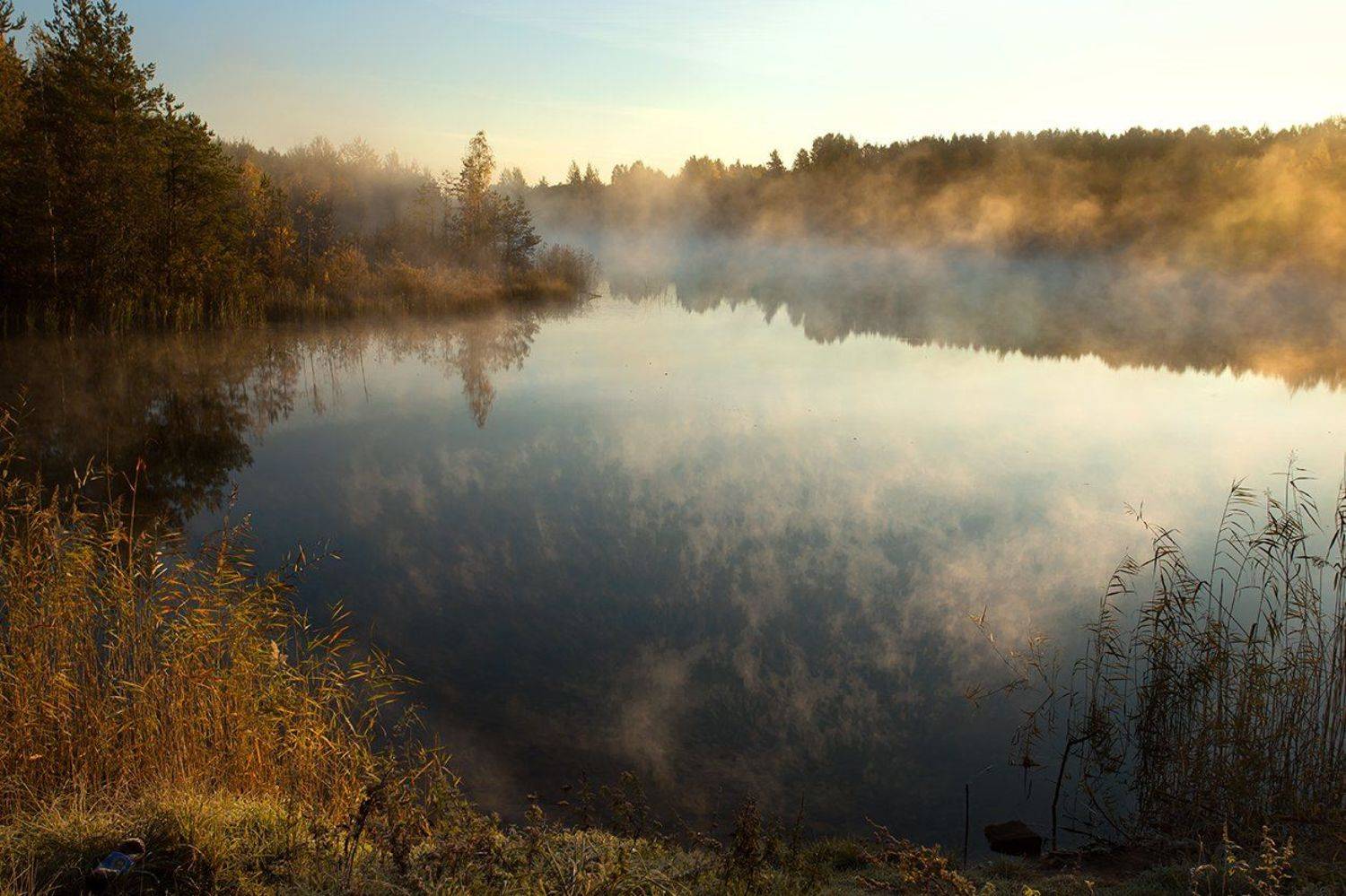 , Анна Кудрявцева
