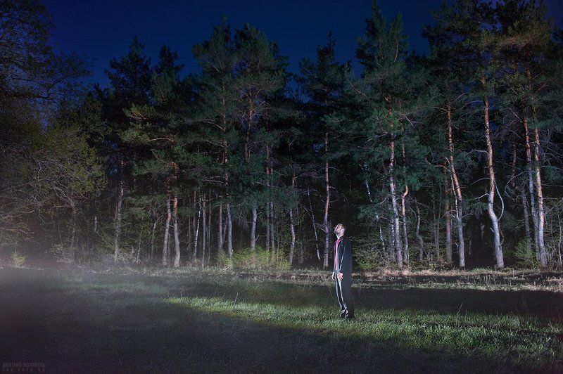 Somnium фото превью