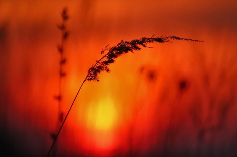 На закате дня. фото превью