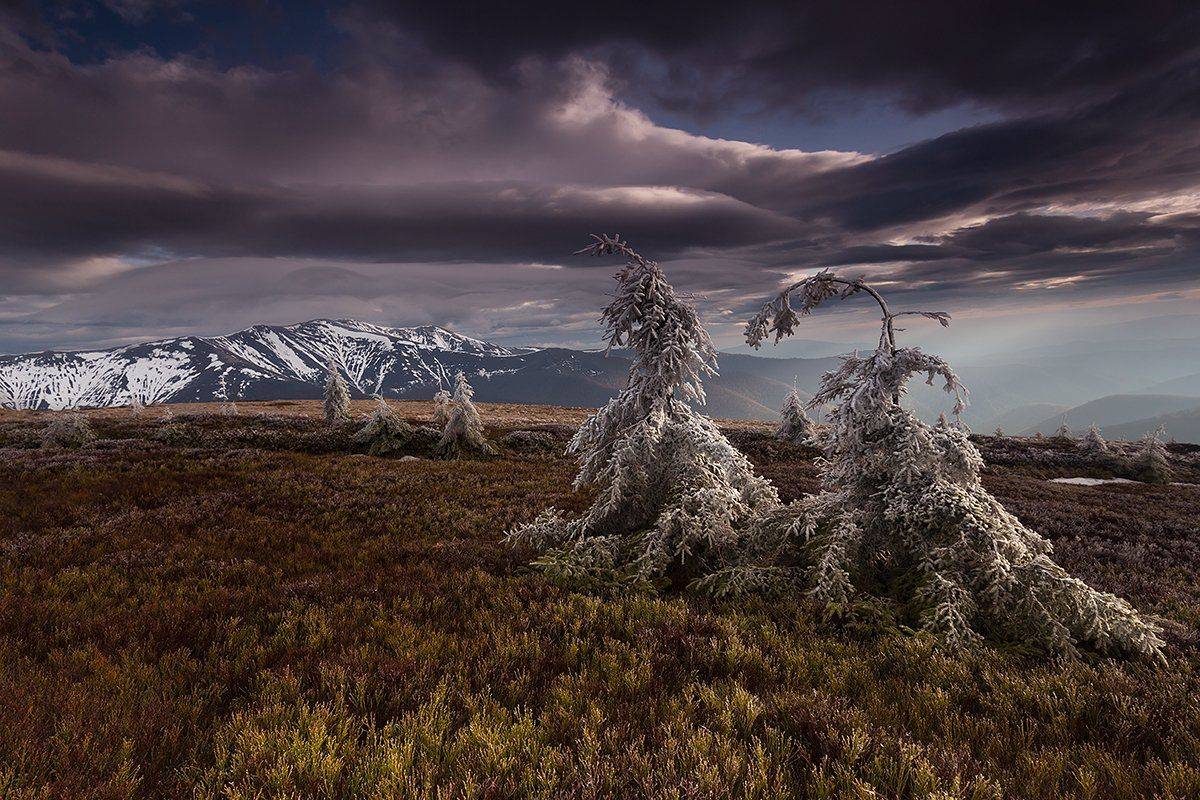 боржава, мороз, украина, карпаты, Michał Olech